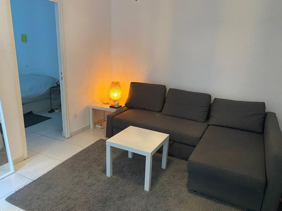 Appt 4 Pers Avec Jardin Ombrage En Centre Ville De 塞特港 外观 照片