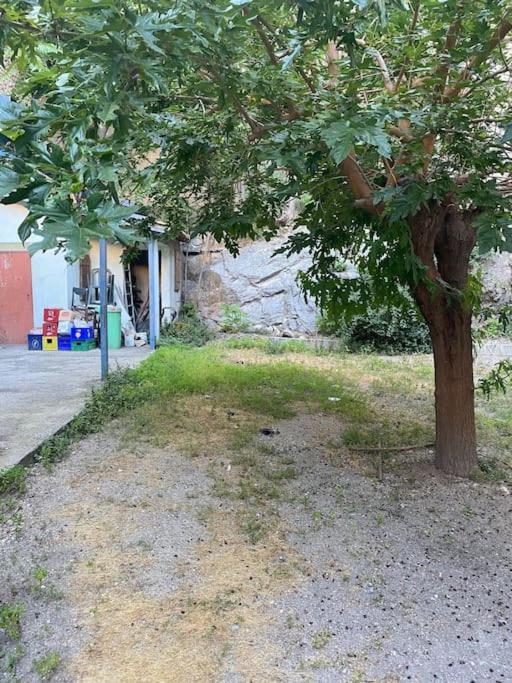 Appt 4 Pers Avec Jardin Ombrage En Centre Ville De 塞特港 外观 照片